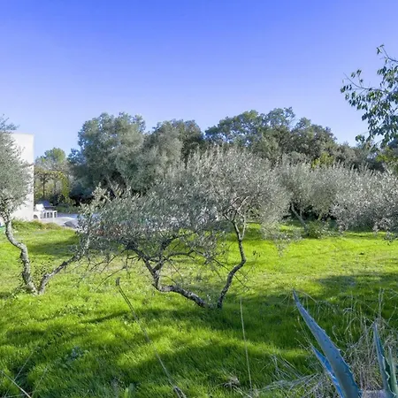 Villa Paradise Place South Of France *
