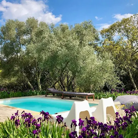Villa Paradise Place South Of France