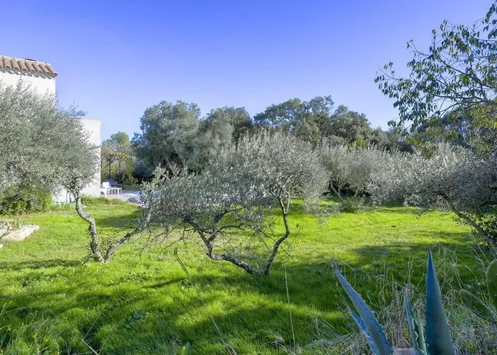 Villa Fragon Piscine Privée&oliviers 8 Pers *